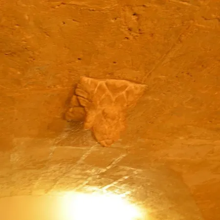 Versosud Cave * 바리